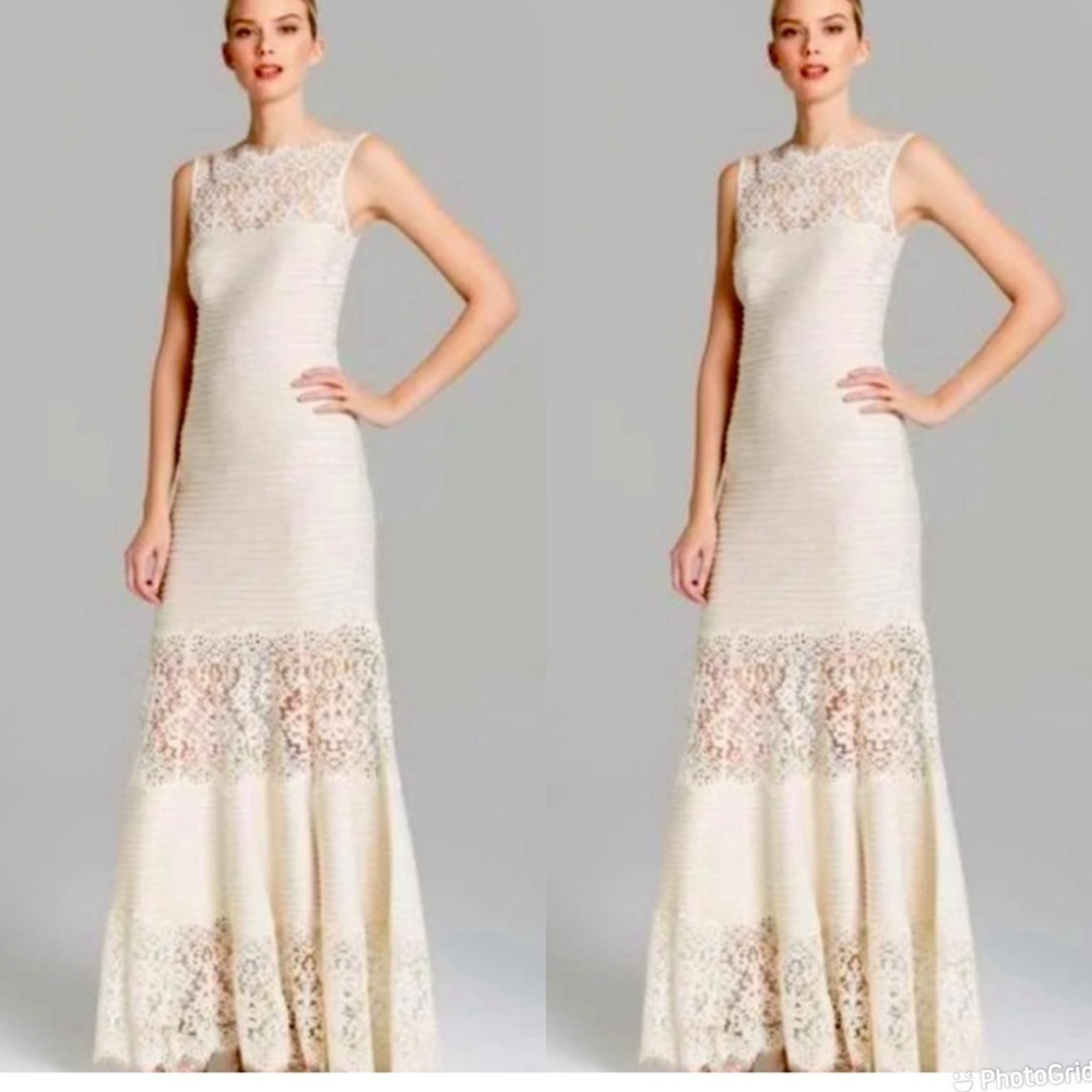 Tadashi Shoji Cream Illusion Embroidered Lace Jersey Gown